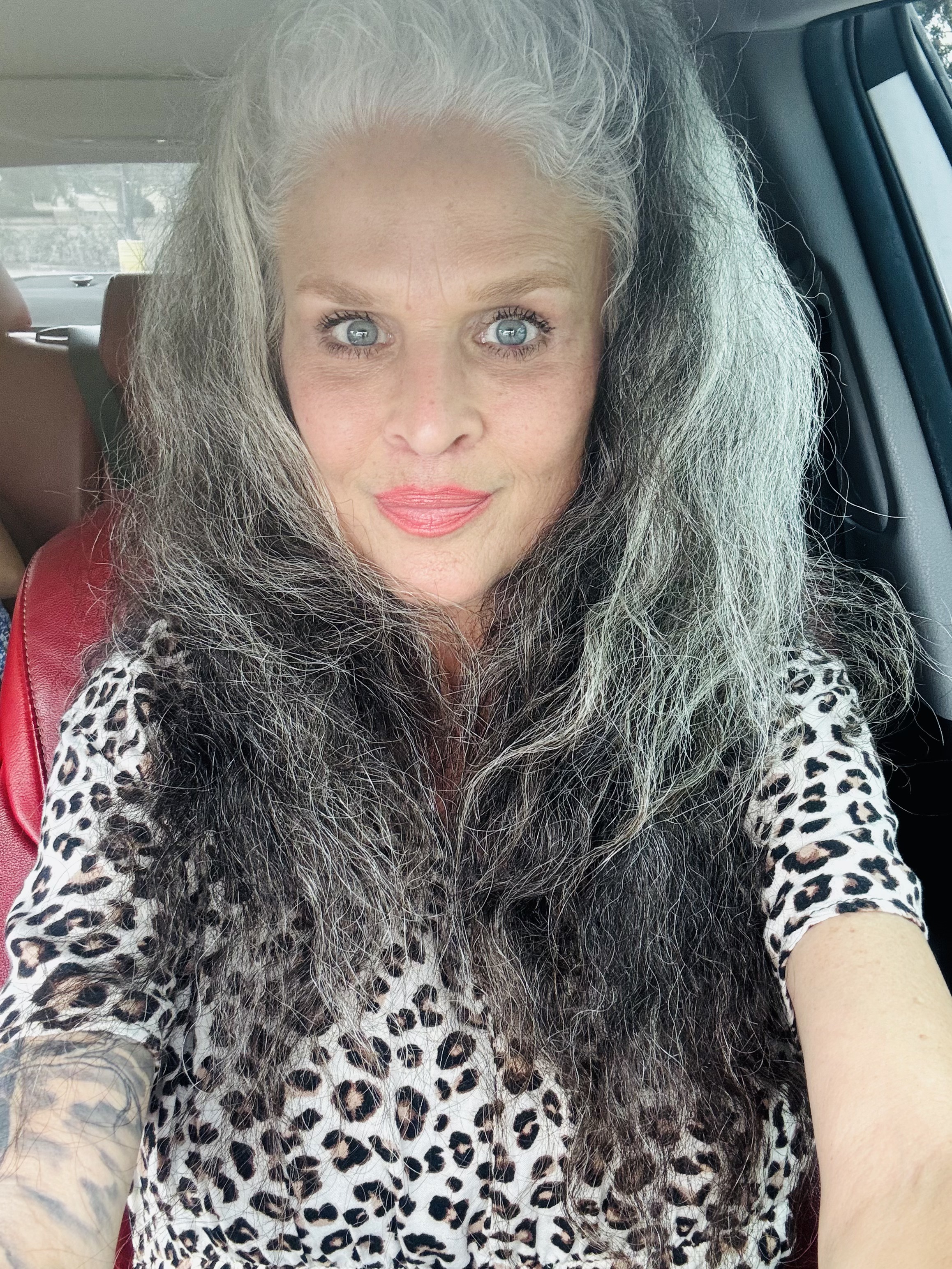 Before gray blending at Distinct Hair Salon